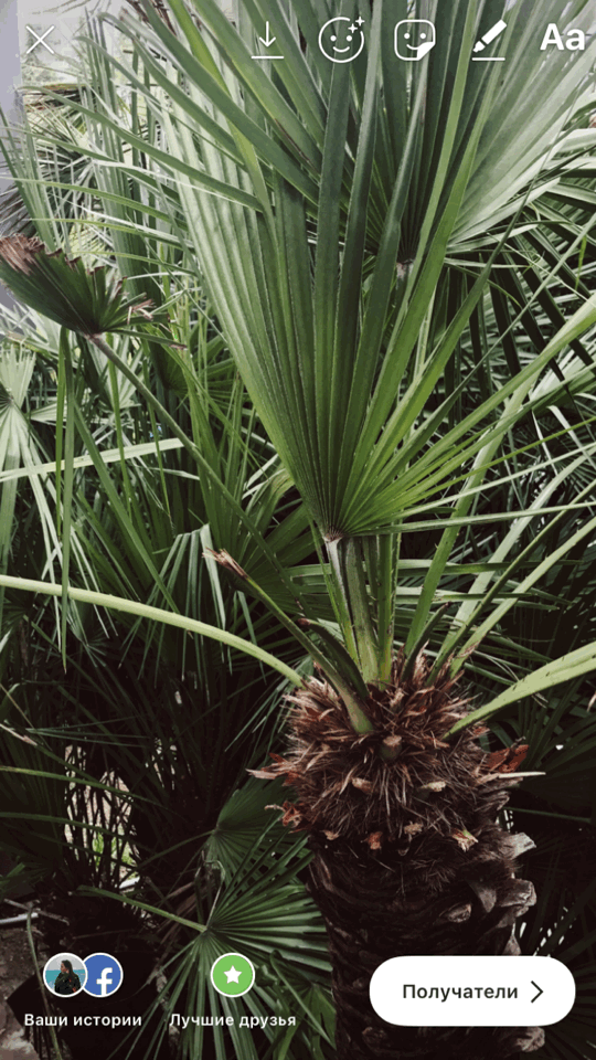 Как изменить шрифт в Инстаграм в истории