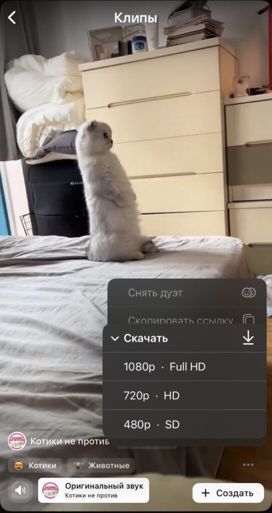 вк клипы скачать